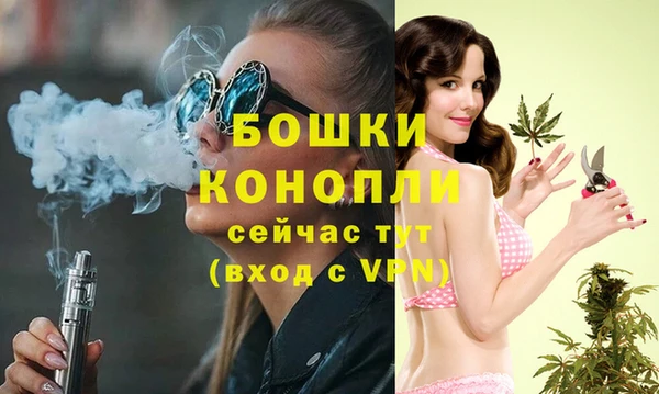 тгк Гусь-Хрустальный