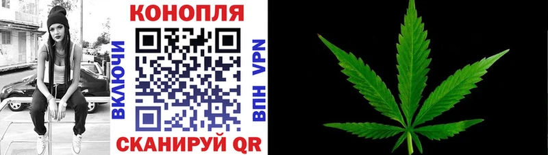 Купить где Камень-на-Оби Канабис OG Kush